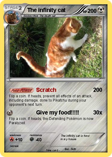 Pokemon The infinity cat