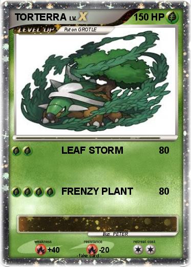 Pokemon TORTERRA