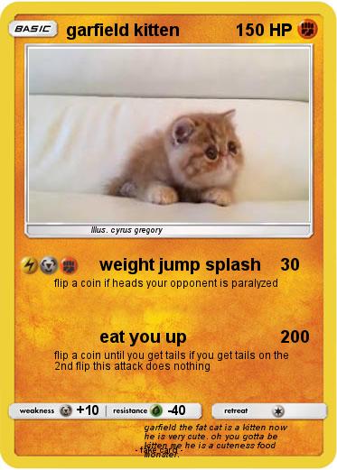 Pokemon garfield kitten