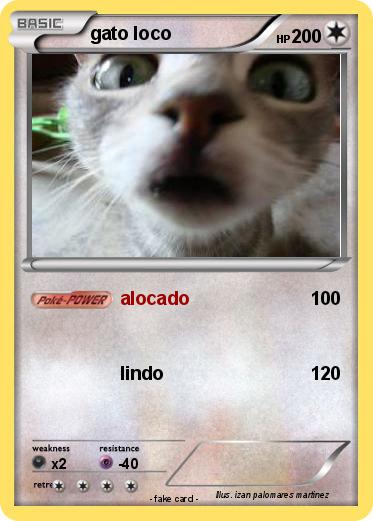 Pokemon gato loco