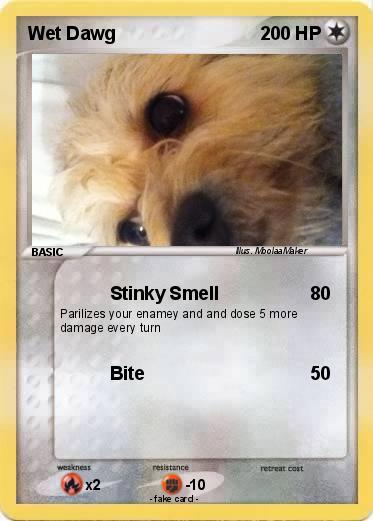 Pokemon Wet Dawg