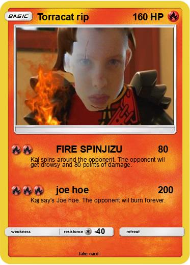 Pokemon Torracat rip