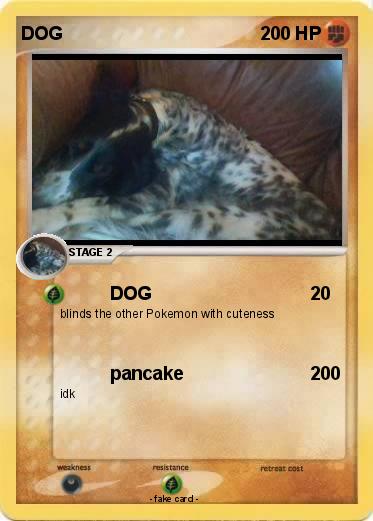 Pokemon DOG