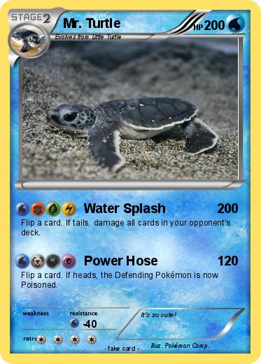 Pokemon Mr. Turtle