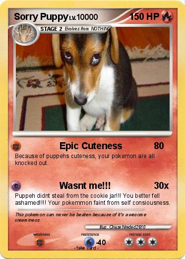 Pokemon Sorry Puppy