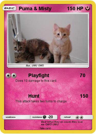 Pokemon Puma & Misty