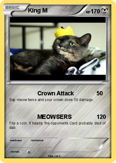 Pokemon King M