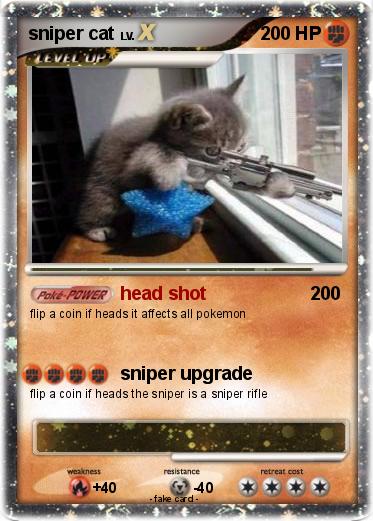 Pokemon sniper cat