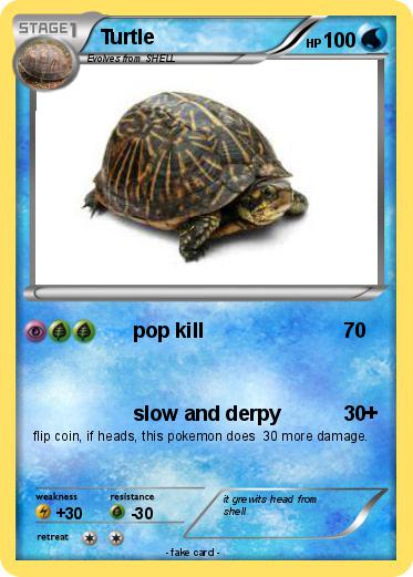 Pokemon Turtle
