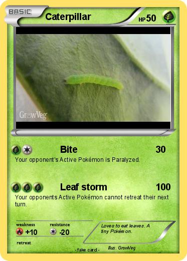 Pokemon Caterpillar