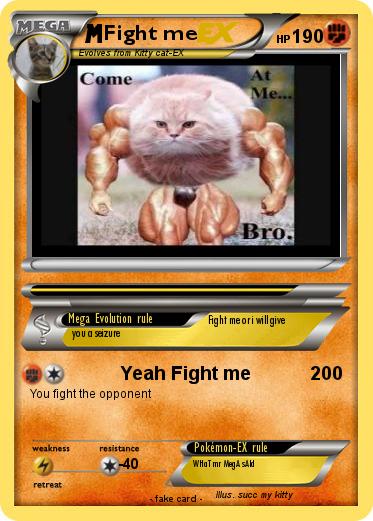 Pokemon Fight me