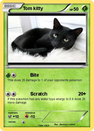 Pokemon Tom kitty