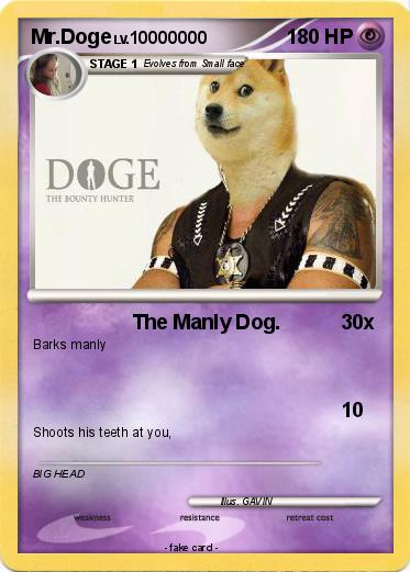Pokemon Mr.Doge