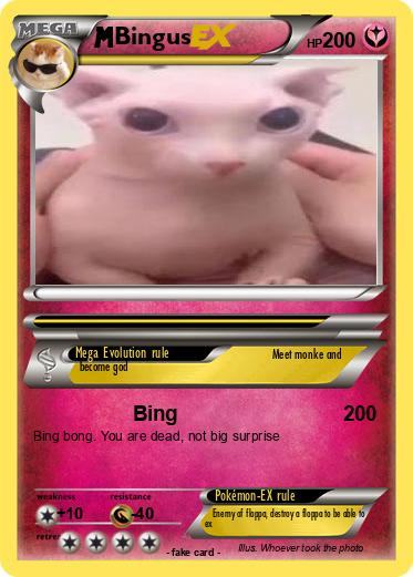 Pokemon Bingus