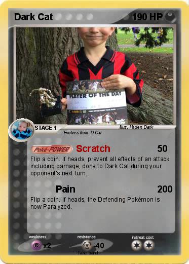 Pokemon Dark Cat