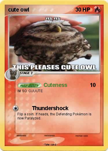 Pokemon cute owl