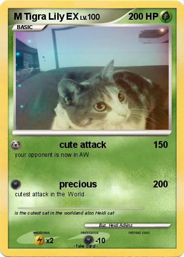 Pokemon M Tigra Lily EX