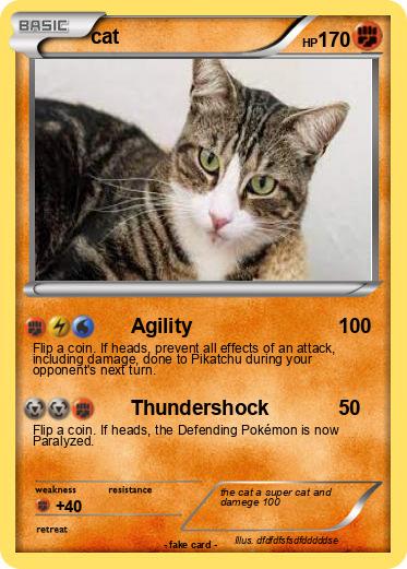 Pokemon cat