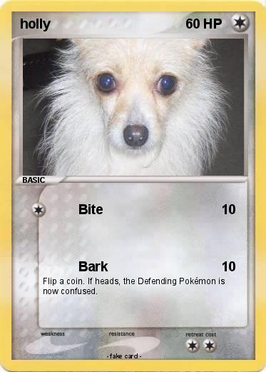 Pokemon holly