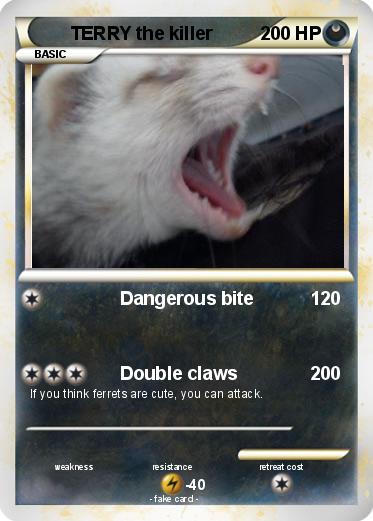 Pokemon TERRY the killer