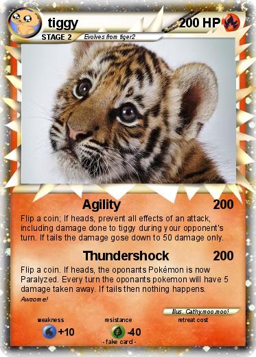 Pokemon tiggy