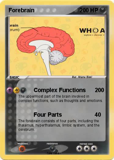 Pokemon Forebrain