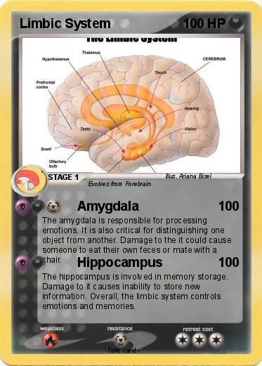 Pokemon Limbic System