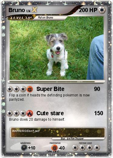 Pokemon Bruno