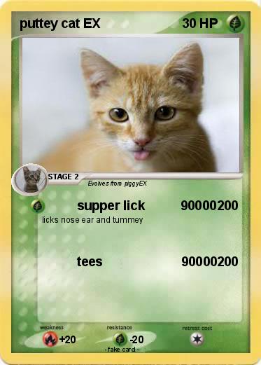 Pokemon puttey cat EX