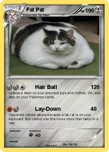 Pokemon Fat Pat