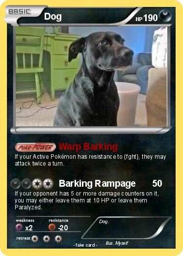 Pokemon Dog