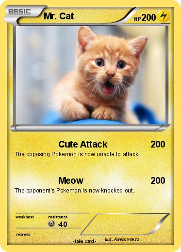 Pokemon Mr. Cat