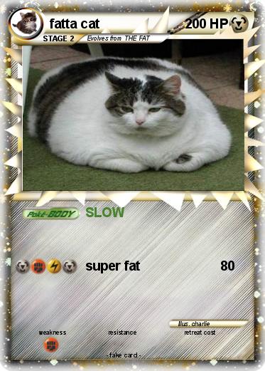 Pokemon fatta cat