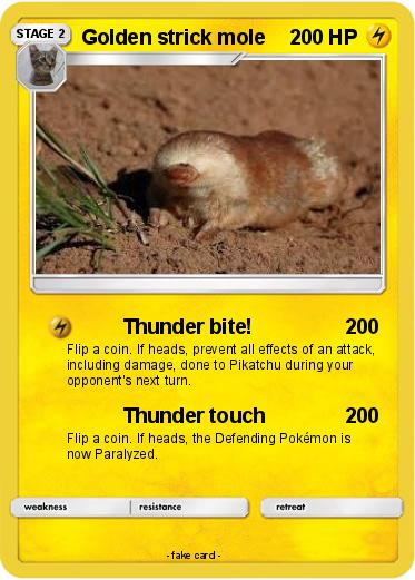 Pokemon Golden strick mole