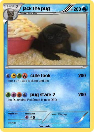 Pokemon jack the pug