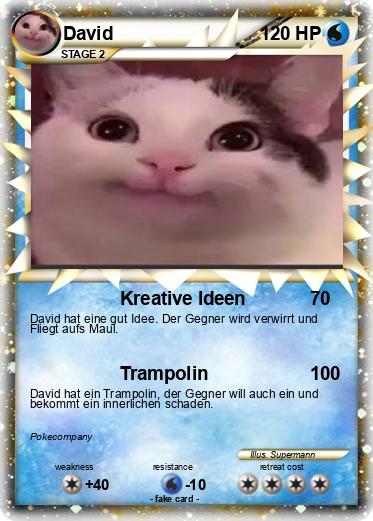Pokemon David