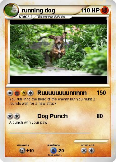 Pokemon running dog