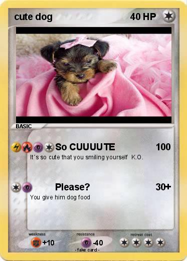 Pokemon cute dog
