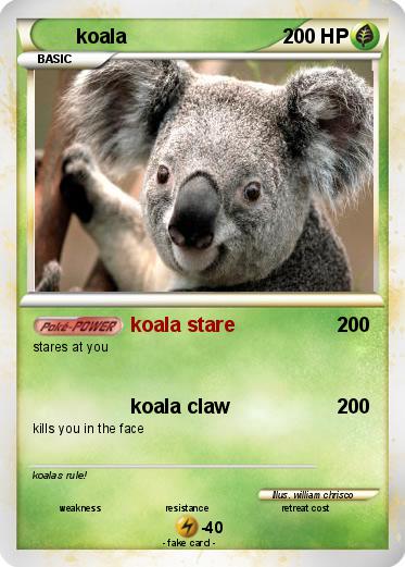 Pokemon koala