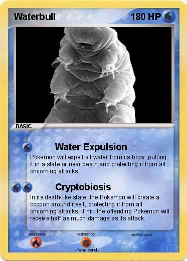 Pokemon Waterbull