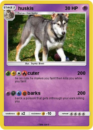 Pokemon huskis