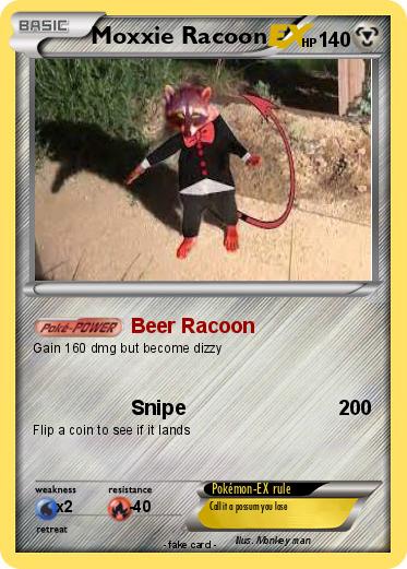 Pokemon Moxxie Racoon
