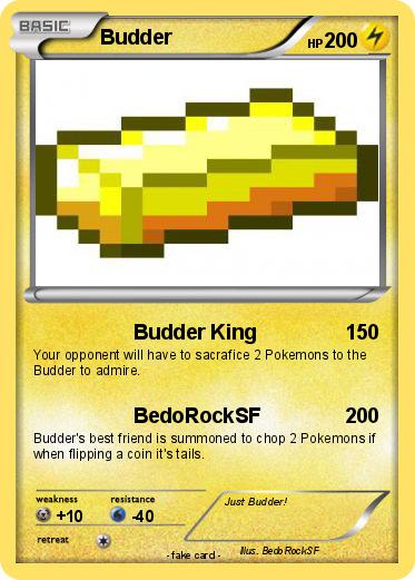 Pokemon Budder