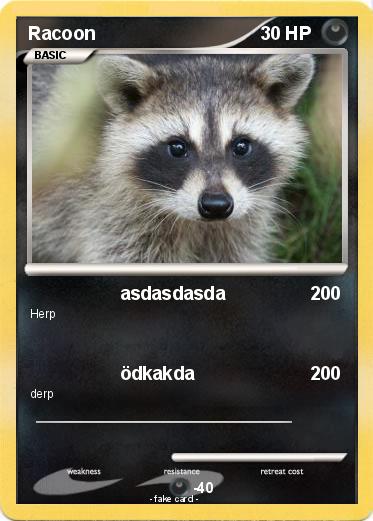 Pokemon Racoon