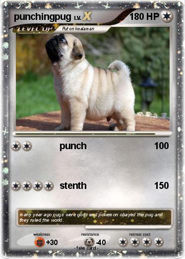 Pokemon punchingpug