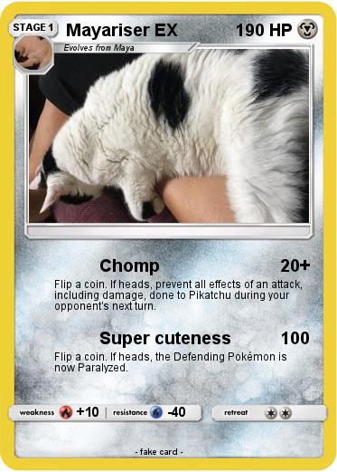 Pokemon Mayariser EX