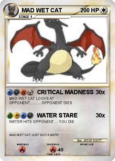 Pokemon MAD WET CAT