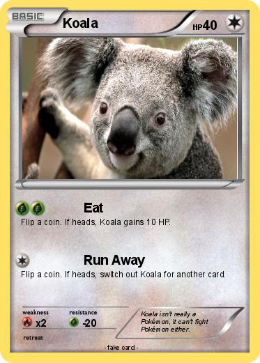 Pokemon Koala