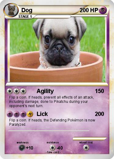 Pokemon Dog