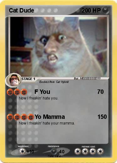 Pokemon Cat Dude